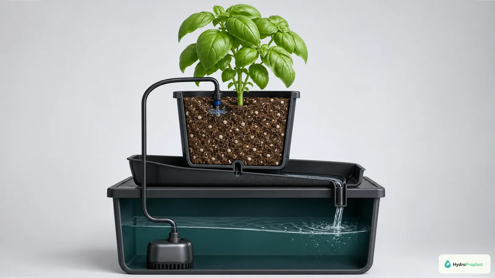 Recirculating drip system supplies a basil pot and returns runoff above the reservoir surface for gentle agitation.