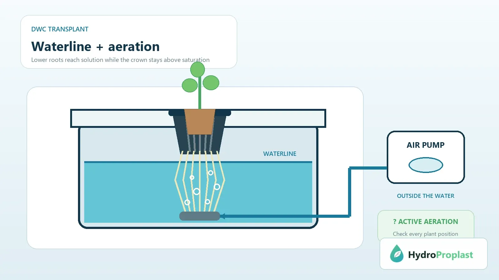 DWC transplant cross-section showing waterline, roots, air stone and an external air pump