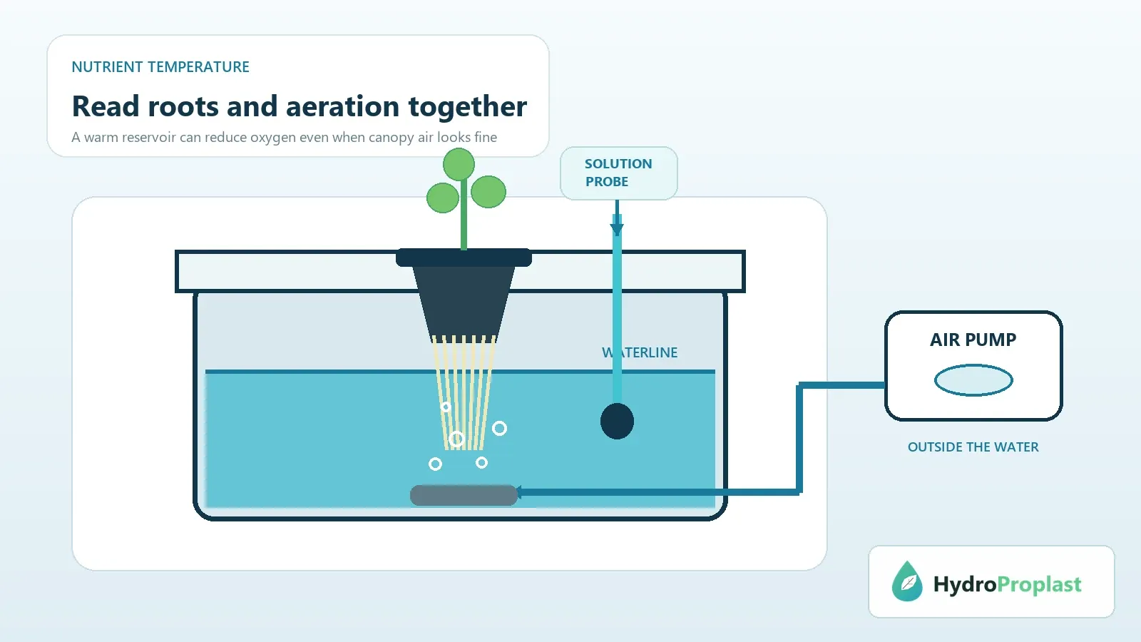 DWC reservoir cross-section with solution temperature probe, roots, air stone and external air pump