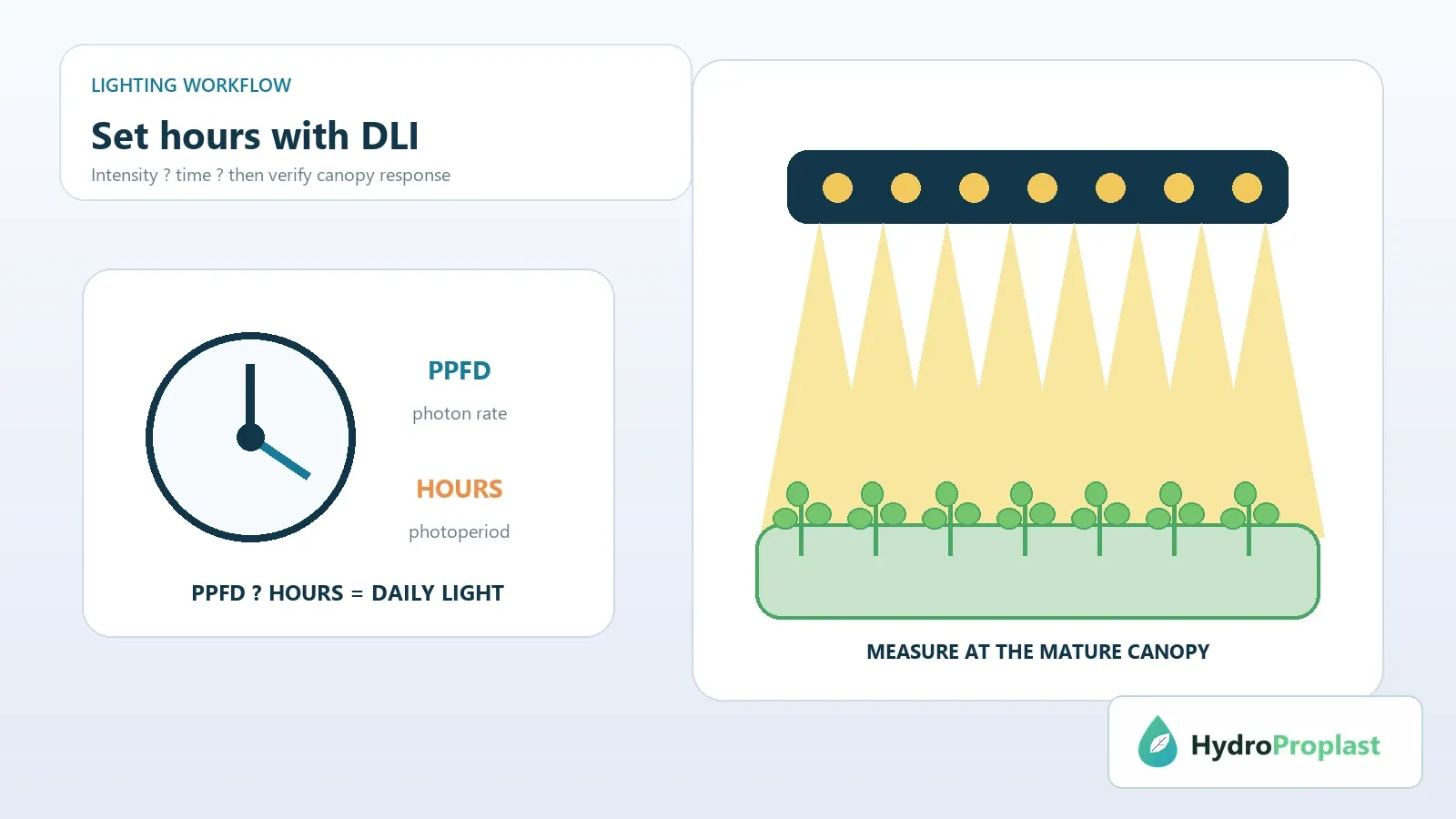 Hydroponic canopy under LED fixtures with a clock and PPFD-by-hours lighting concept