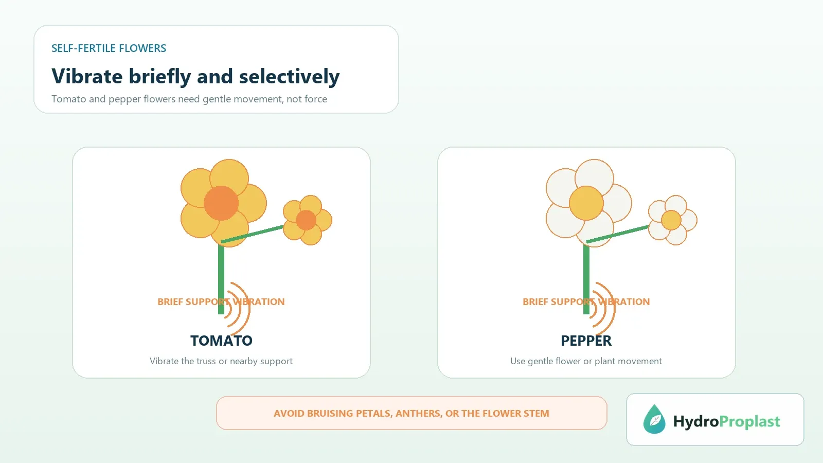 Tomato and pepper flowers with brief support-vibration zones and a warning not to bruise flower parts